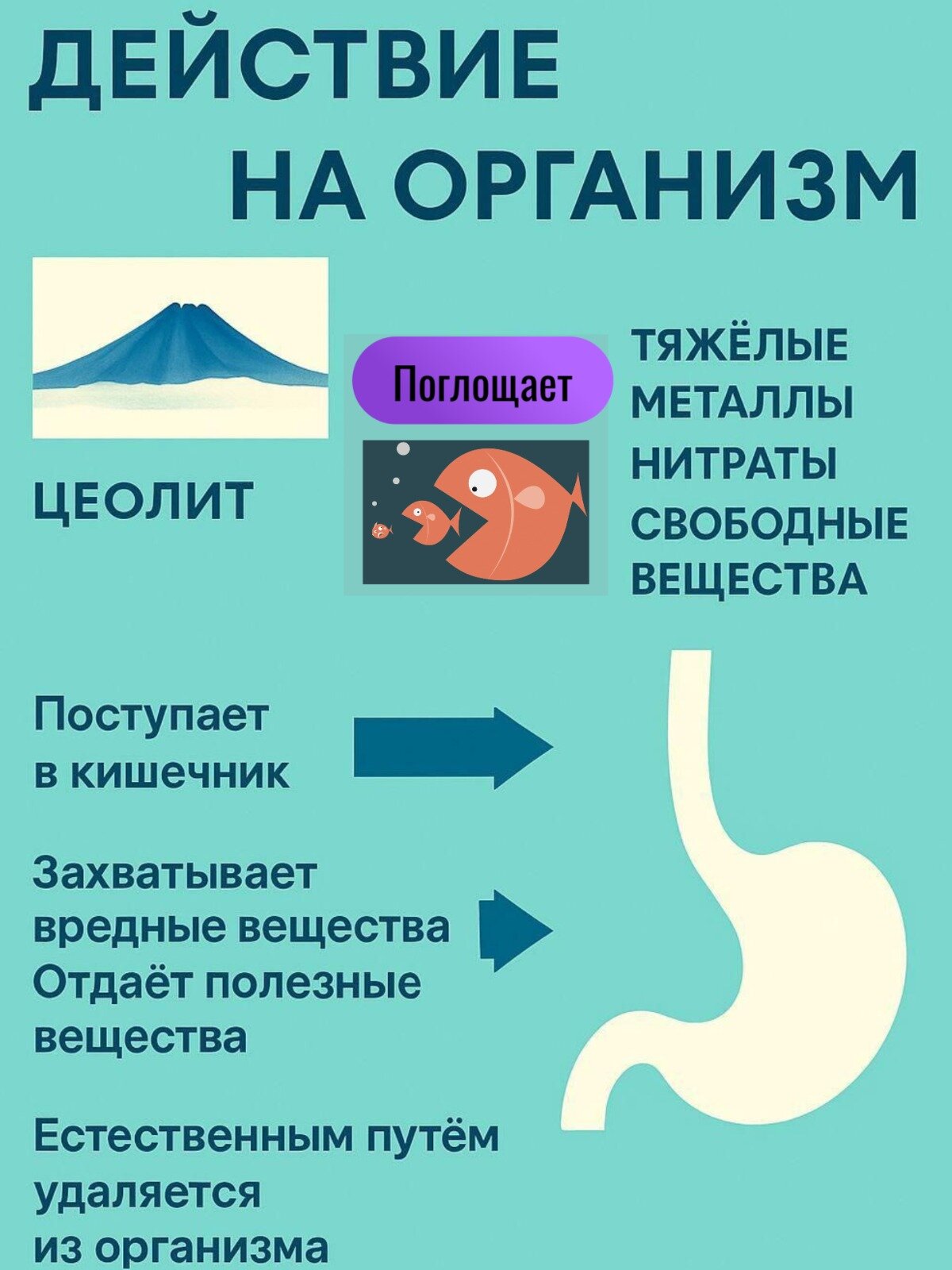 Сорбенты Пищевой цеолит, клиноптилолит 95%, сорбент, очищение организма, детокс, порошок, 220 г