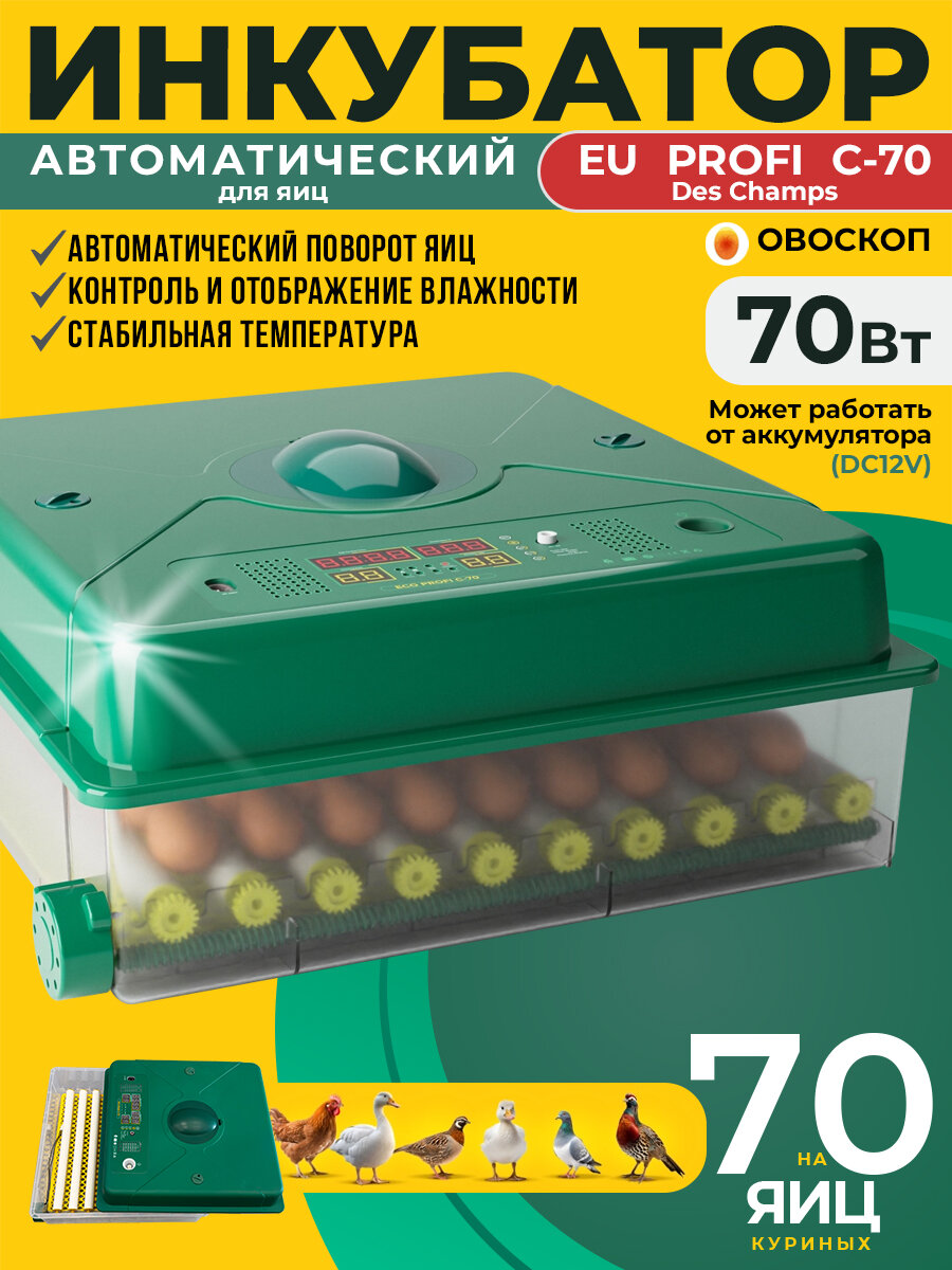 Инкубатор для яиц автоматический Des Champs ECO PROFI C-70 от сети и аккумулятора с овоскопом на 70 куриных яиц
