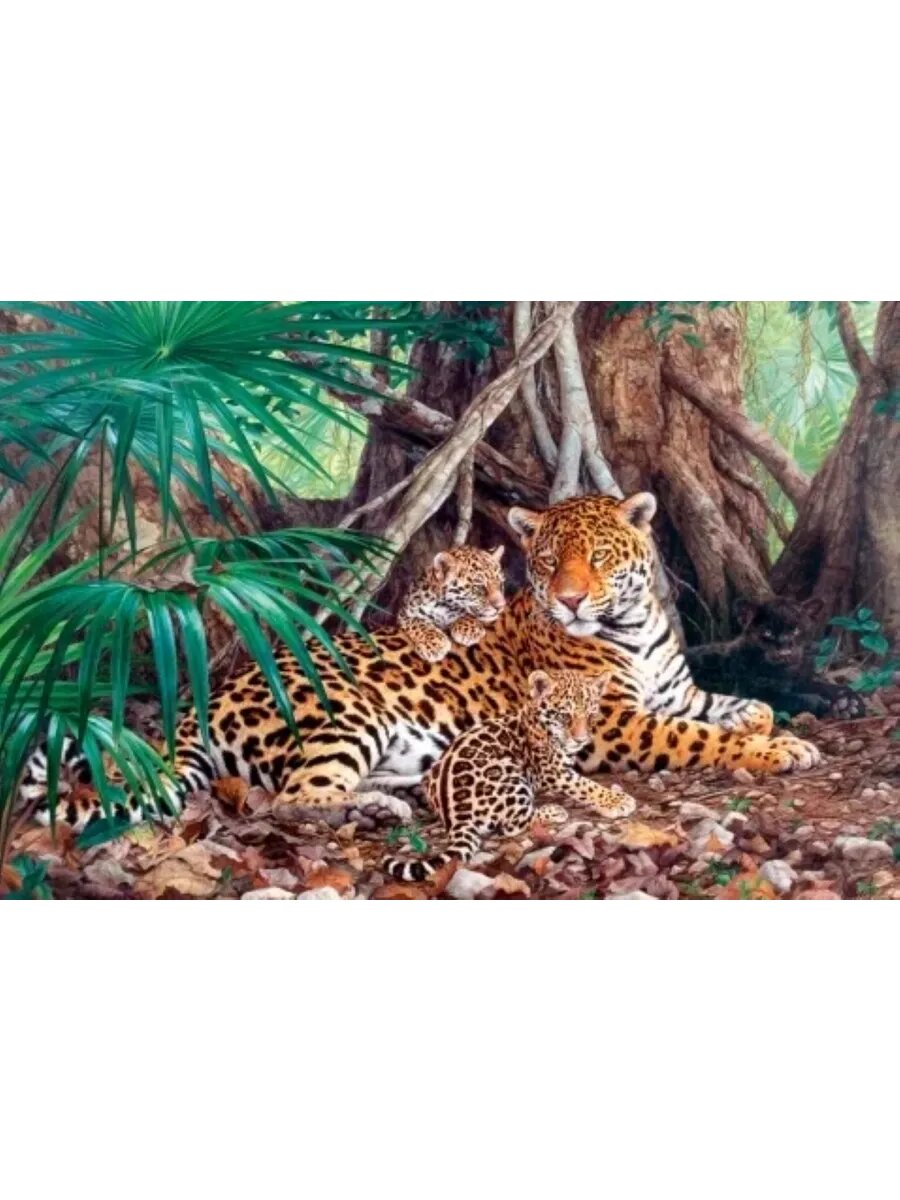 Пазл Пляж, Сейшелы, 3000 деталей — фото 1