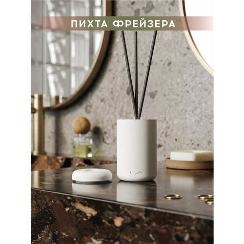 фото Ароматический диффузор, 100 мл, пихта фрейзера, в бетонной вазе esther (белый) musko