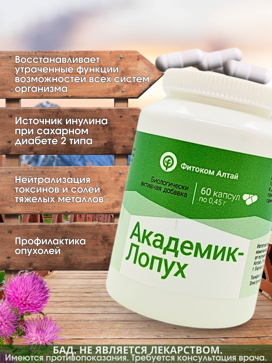 Академик Лопух, экстракт корня лопуха в капсулах, бад, 60 капс, Фитоком Алтай — фото 1