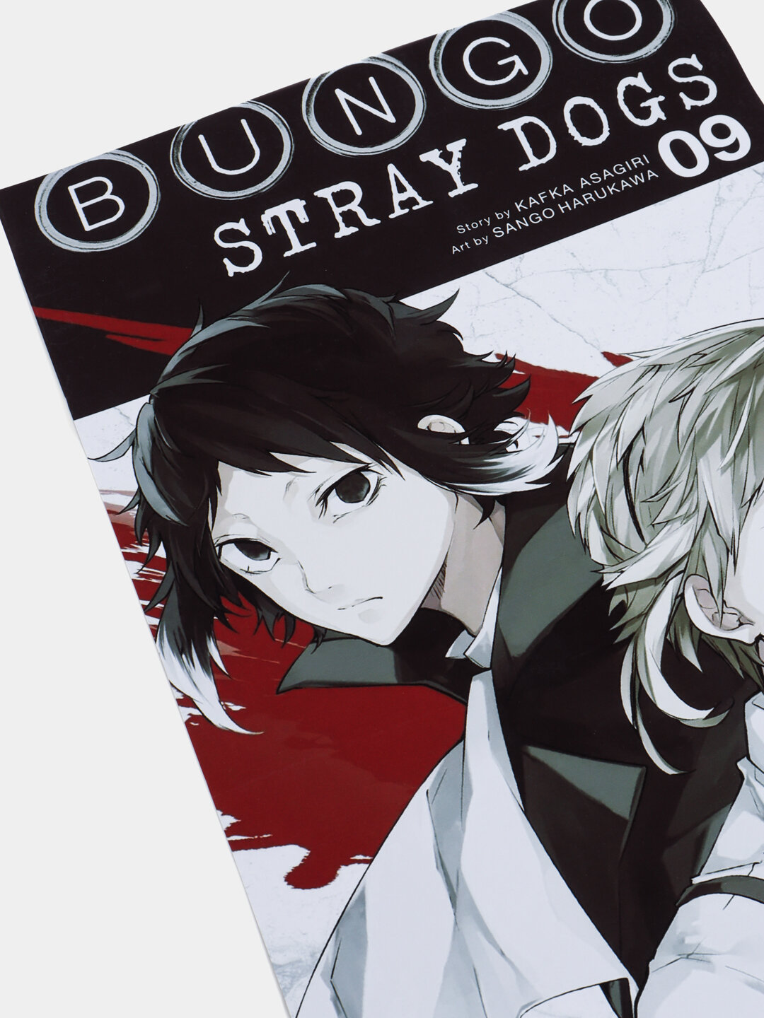 Постеры интерьерные Аниме Проза бродячих псов, А3 постер, плакат — фото 1