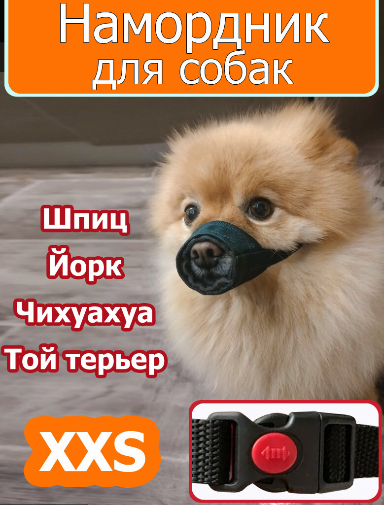 Намордник, для собак, чёрный, XXS, водостойкий, регулируемый, для мелких пород