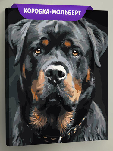 Изображение товара Картина по номерам на холсте с подрамником "Собаки: ротвейлер, домашние животные" Раскраска 40x50 см, Детская тематика