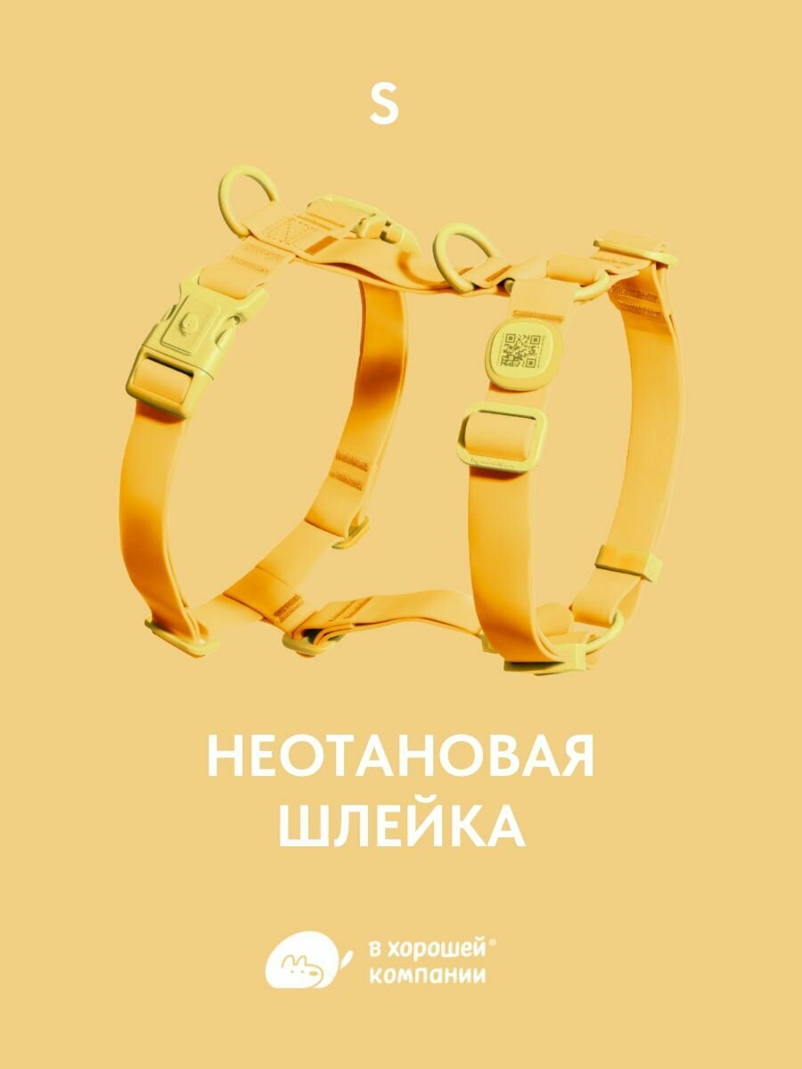 Анатомическая прогулочная шлейка для собак мелких пород IN GOOD COMPANY (S / желтый / неотан)