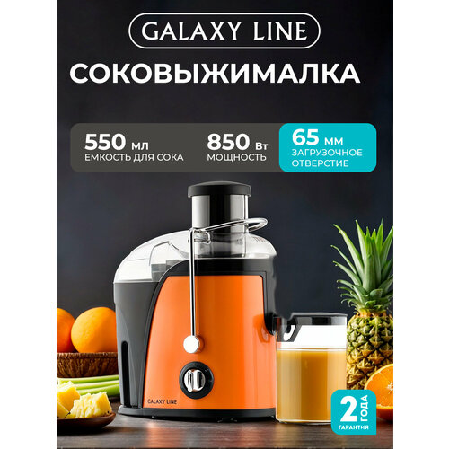 Соковыжималка GALAXY LINE GL0814, центробежная, 850 Вт, 2 скорости, 0,5 л, фильтр из нержавейки