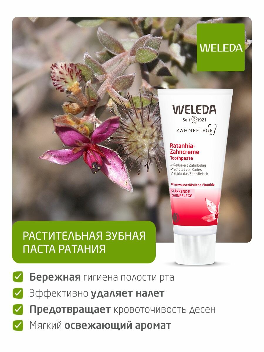 Weleda Растительная Зубная паста "Ратания", без фтора, 75 мл — фото 1