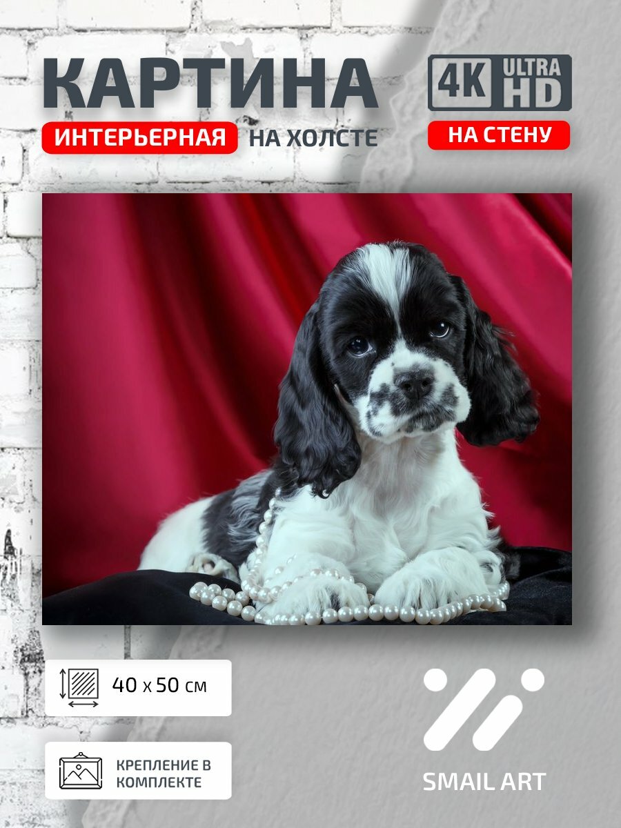 Картина на холсте интерьерная 40 на 50 на стену Шторы Mood для студии атмосфера интерьер
