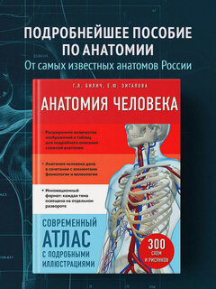 Изображение товара Билич Г. Л, Зигалова Е. Ю. Анатомия человека. Современный атлас с подробными иллюстрациями