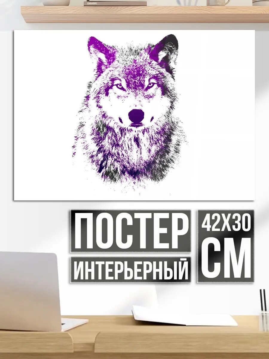 Плакат постер Фиолетовый волк