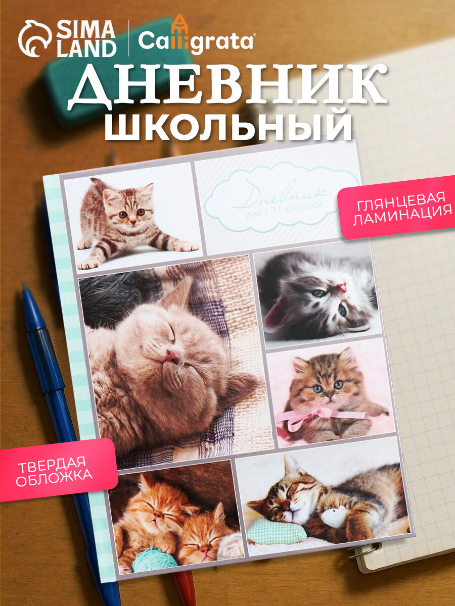 Дневник школьный для 1-11 классов Calligrata 