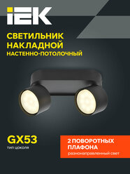Светильник IEK 4042 настенно-потолочный, 2xGX53, 15Вт, 220-240В, черный, металл, IP20, поворотные плафоны