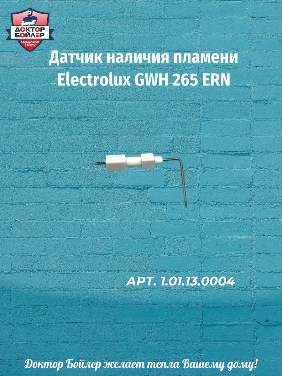 Датчик наличия пламени Electrolux GWH 265 ERN Nano Plus, Zanussi, Oazis, Neva 4610
