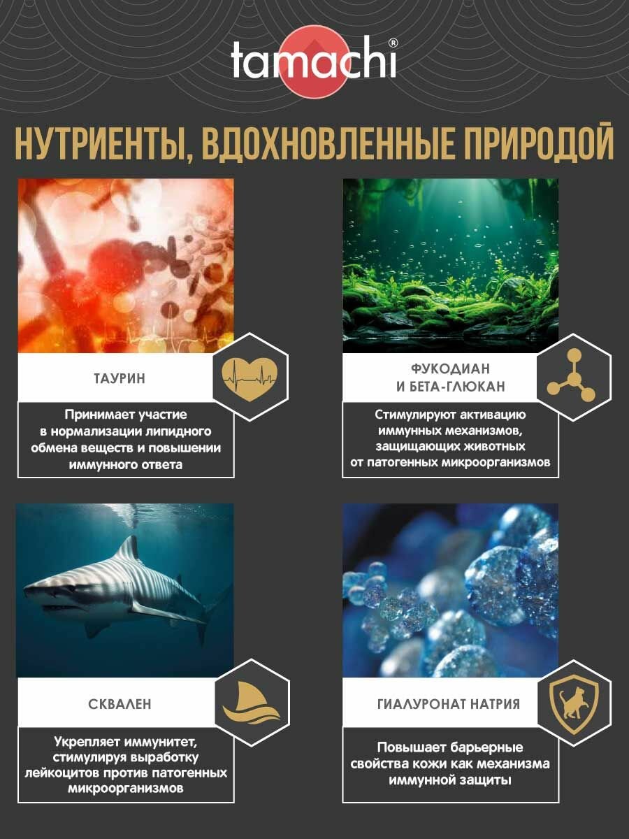 Витамины для кошек Tamachi Daily Multi для иммунитета 100 шт — фото 1