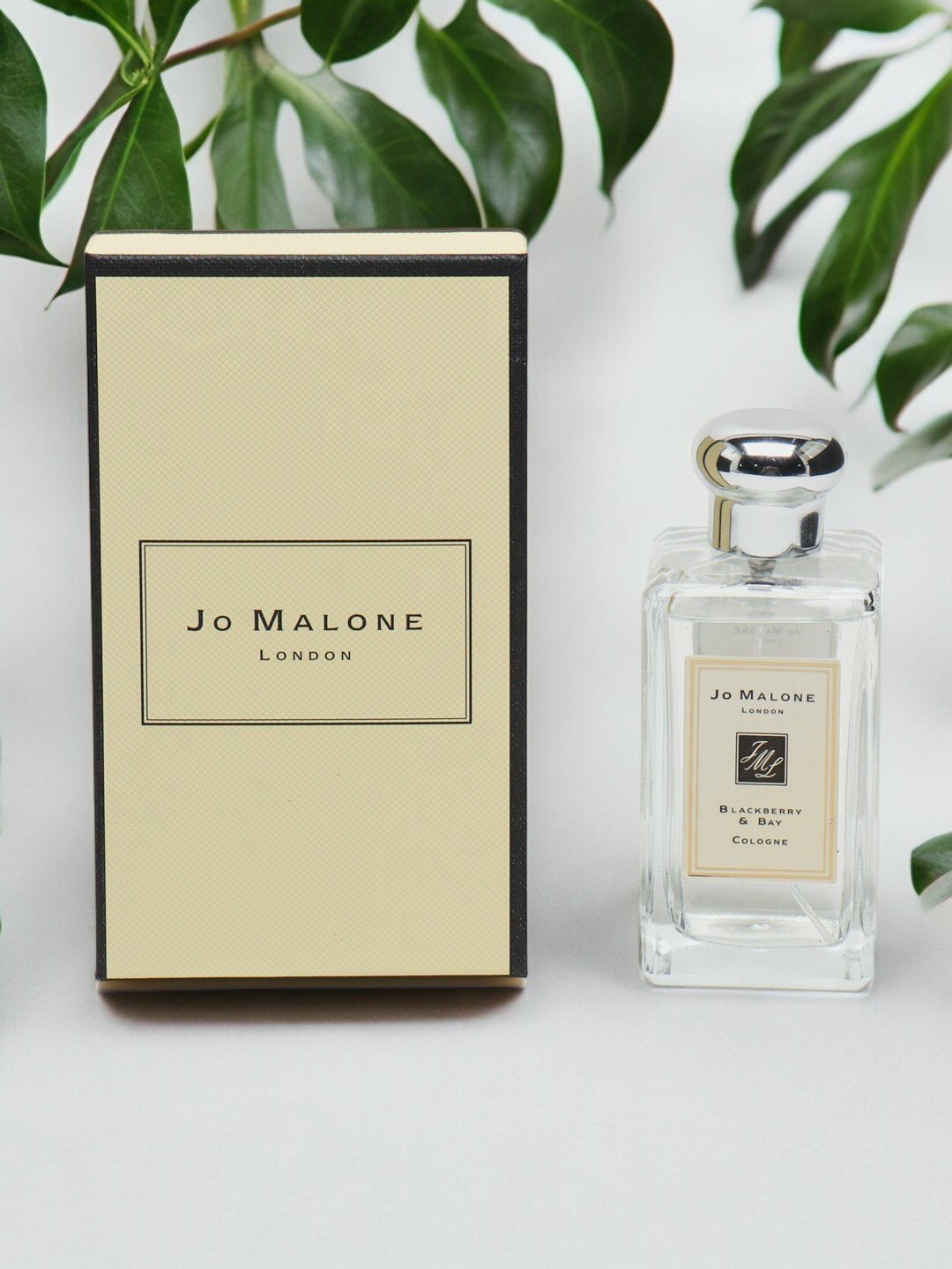 Парфюмерная вода для женщин, женские духи по мотивам Blackberry & Bay Jo Malone London, 100 мл