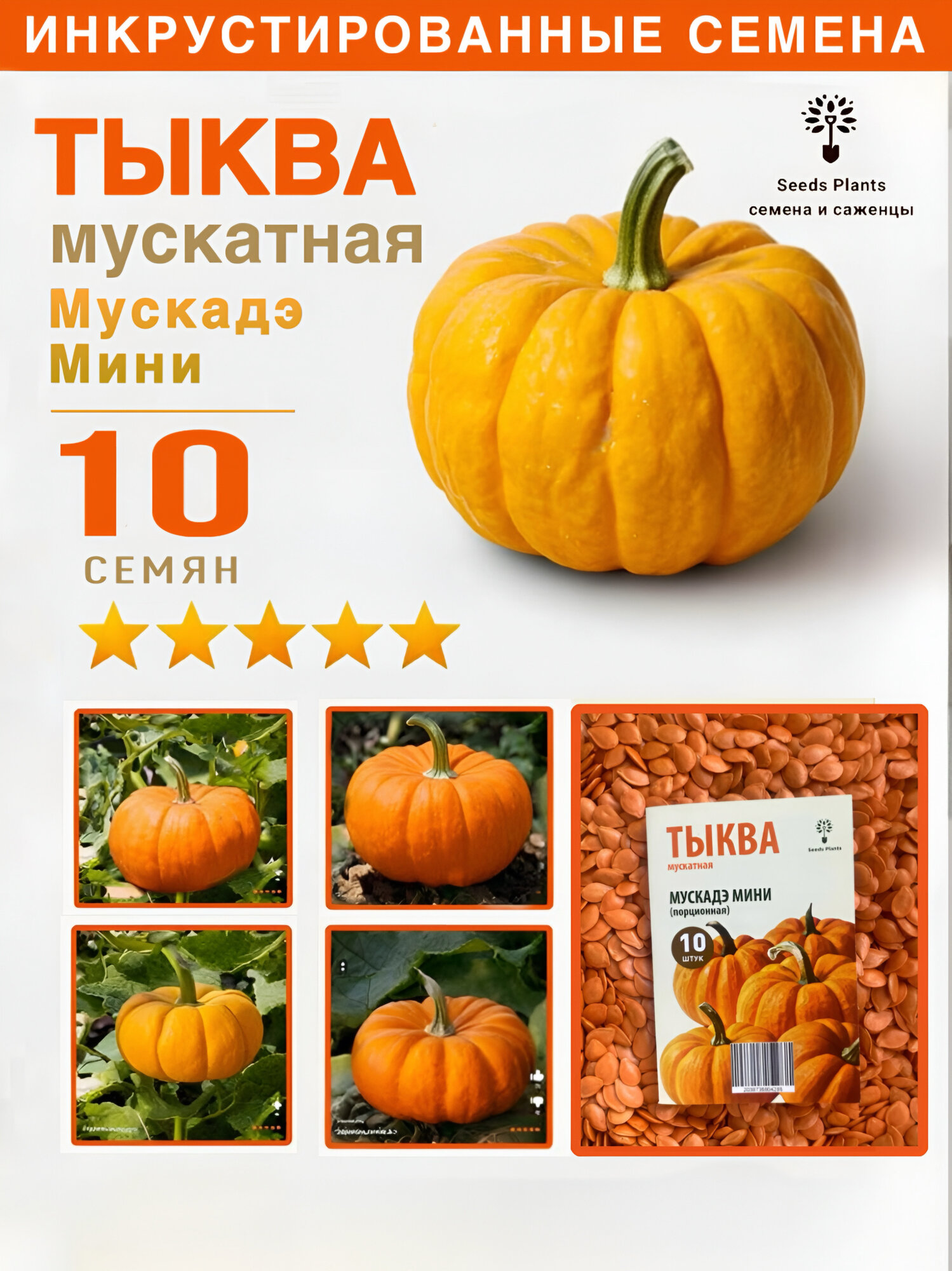 Семена мини тыквы мускатной
