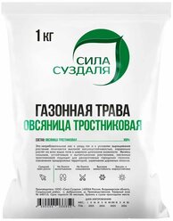 Газонная трава Овсяница тростниковая Сила Суздаля 1 кг