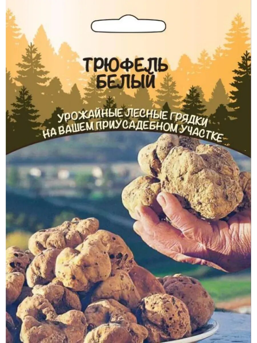 Грибы Трюфель Белый 30мл зерновой мицелий