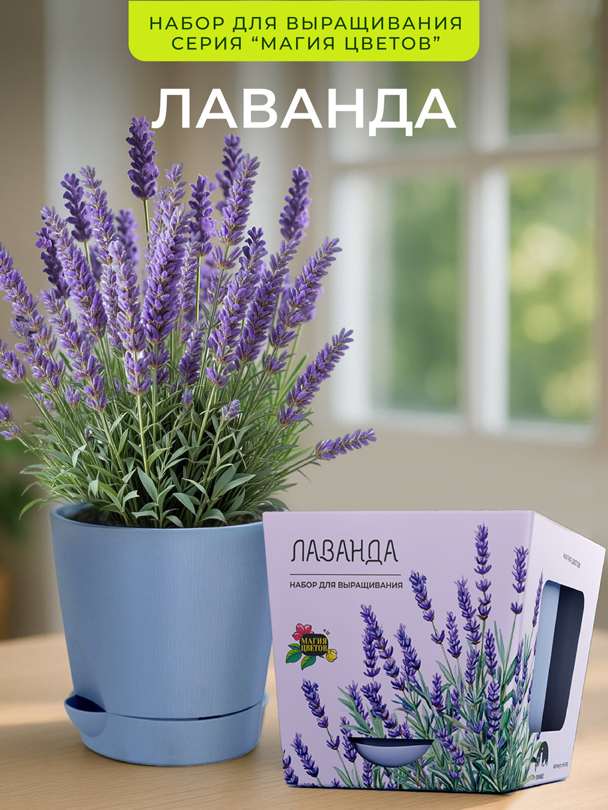 Лаванда Набор для выращивания растений от бренда 