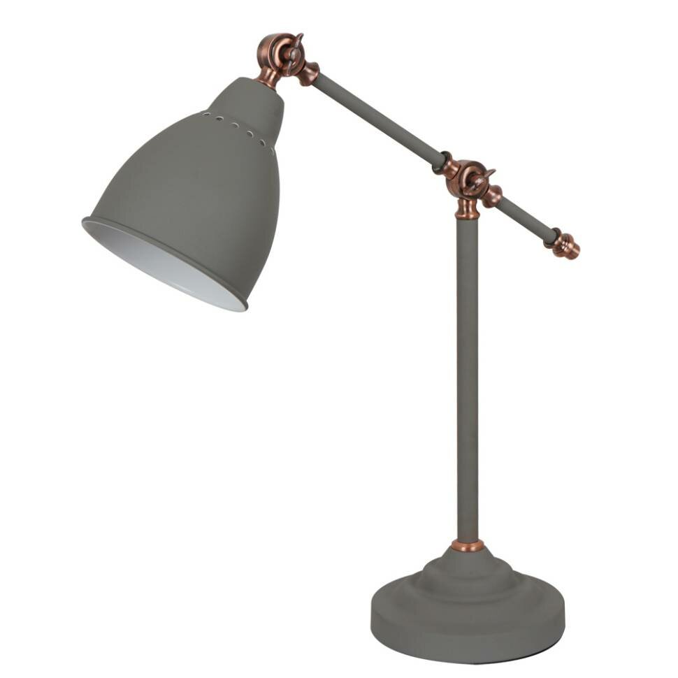 ARTE LAMP Декоративная настольная лампа Arte Lamp BRACCIO A2054LT-1GY