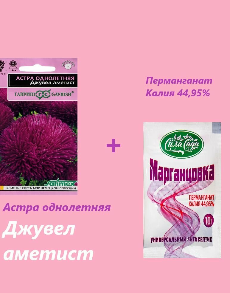 Семена цветов Астра игольчато-коготковая 