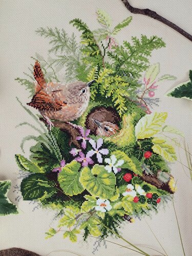 Изображение товара Набор для вышивания "Крапивники" 23х32см, 03.010.30