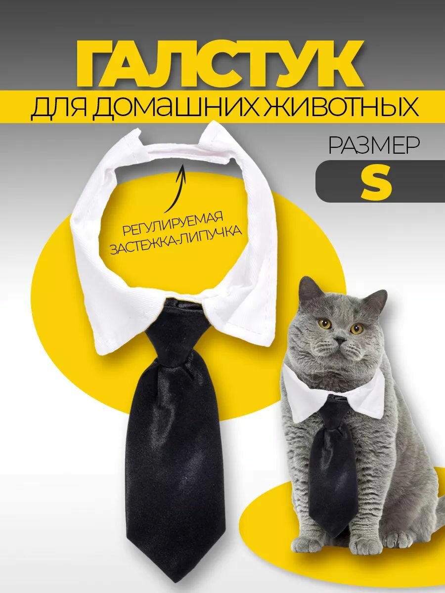 Ошейник с галстуком для животных