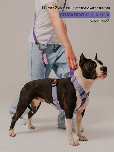 Изображение товара Шлейка широкая с ручкой прогулочная анатомическая для средних и крупных пород собак, CORADOG Quick click, размер L, цвет сиреневый, фиолетовый