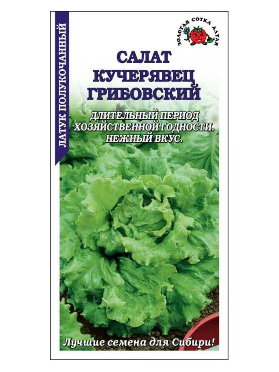 Салат Грибовский кучерявец