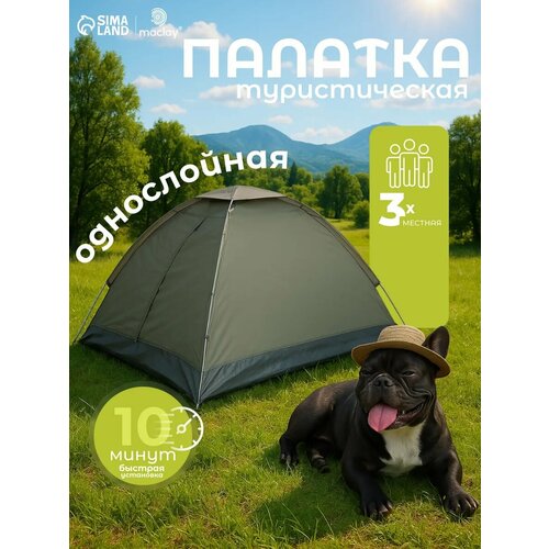 Палатка туристическая 3-местная maclay fisht se 3, 205×180×120 см, трекинговая, однослойная, зелёная