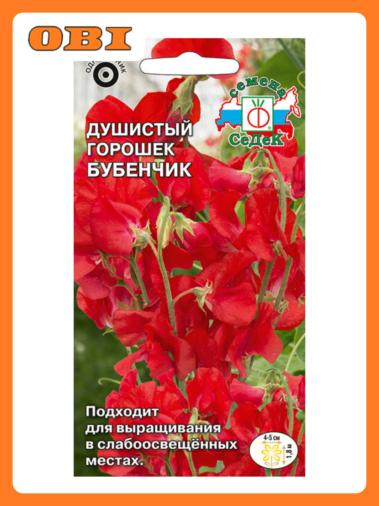 Семена цветок Душистый горошек