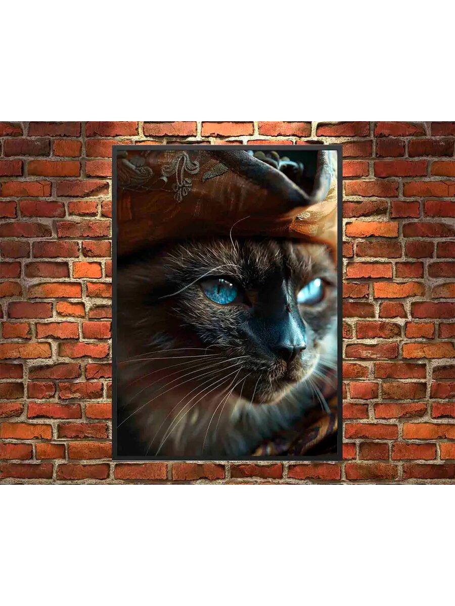 Балийский кот Пират 4, Плакат 30x42см