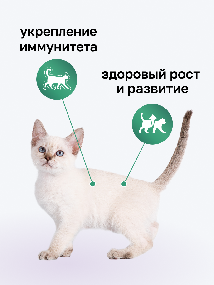 Organix Суп для котят с индейкой, овощами и рисом. Влажный корм, набор 24 шт. х 80 г — фото 1