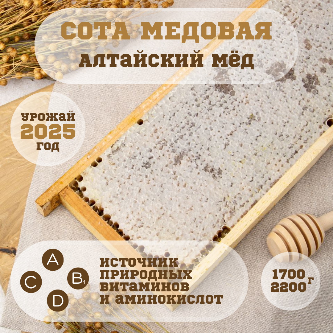 Сотовый мед  мед в сотах  сота медовая 1 7 кг   2 2 кг