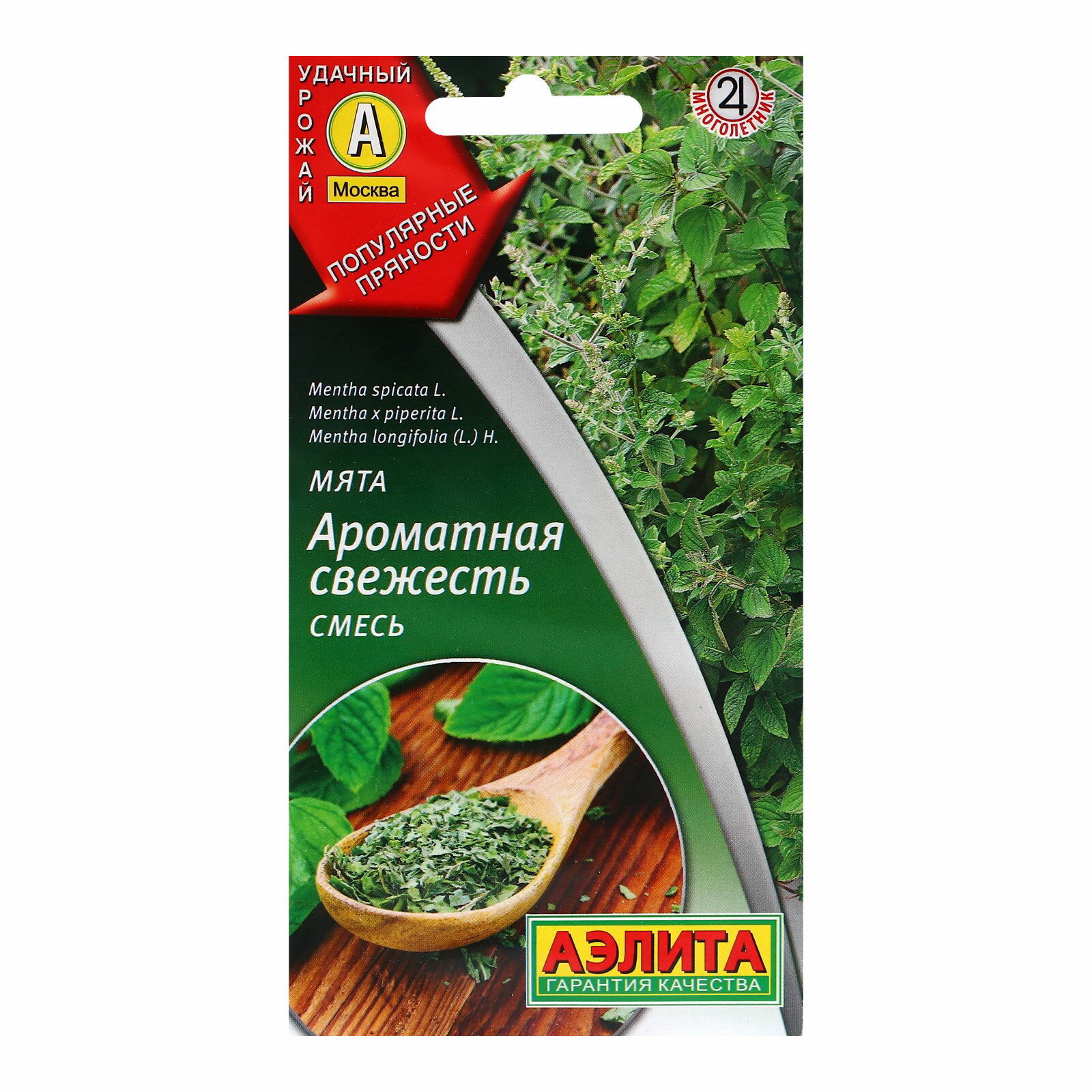 Семена Мята 