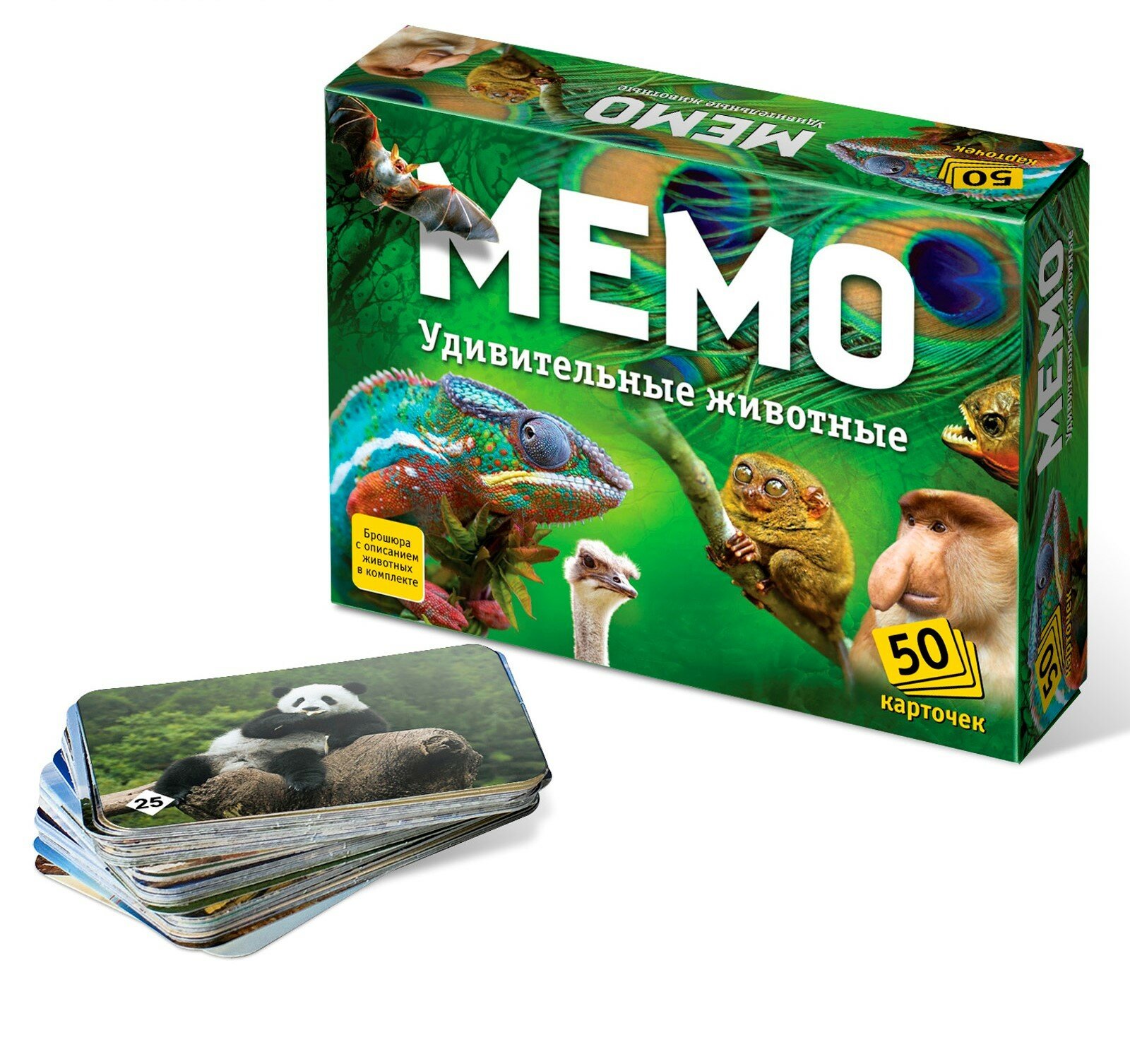 Настольная игра «Мемо. Удивительные животные», 50 карточек + познавательная брошюра