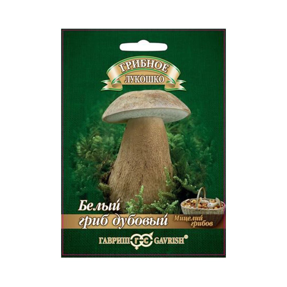 Белый гриб Дубовый на зерновом субстрате 15 мл Гавриш