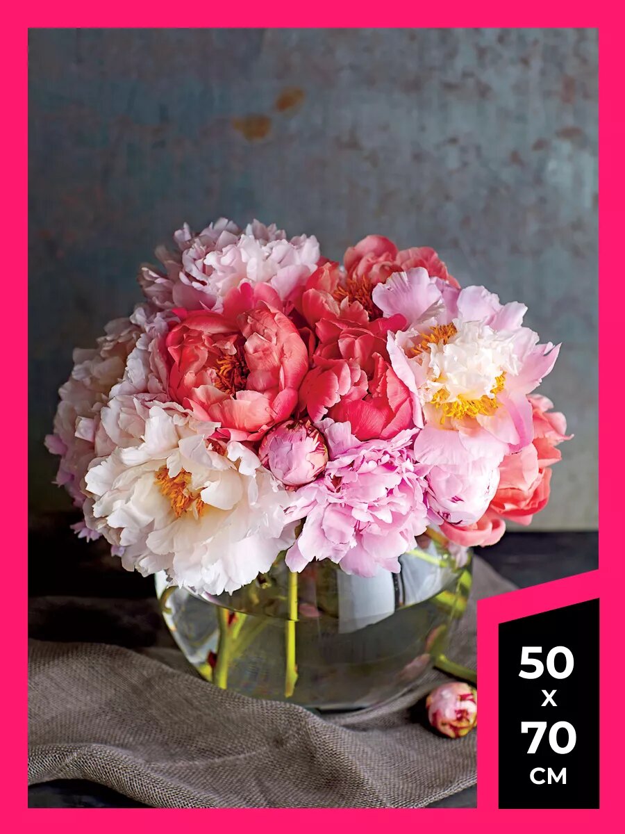 Постер пионы плакат 66 на стену А1 А2 А3 50 х 70 матовая фотобумага премиум качества