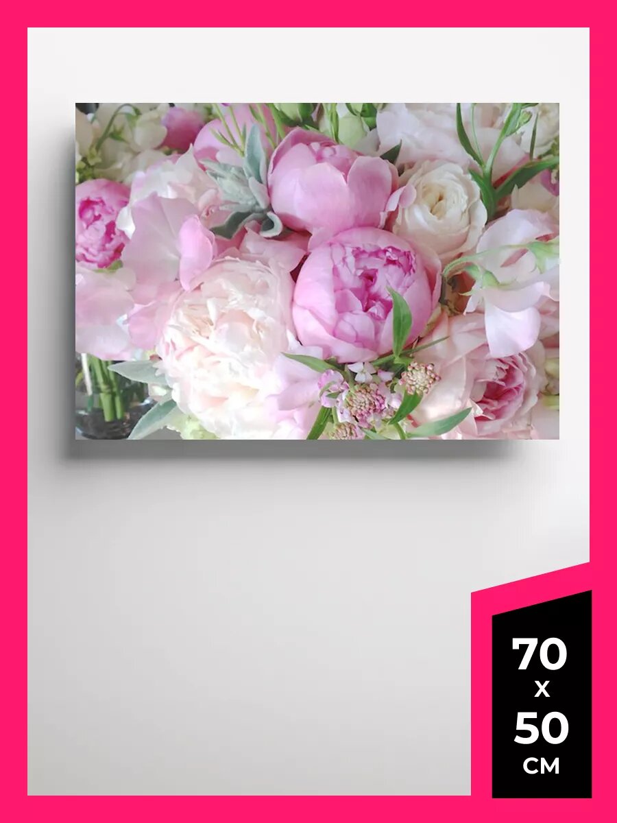 Постер пионы плакат 3 на стену А1 А2 А3 50 х 70 матовая фотобумага премиум качества