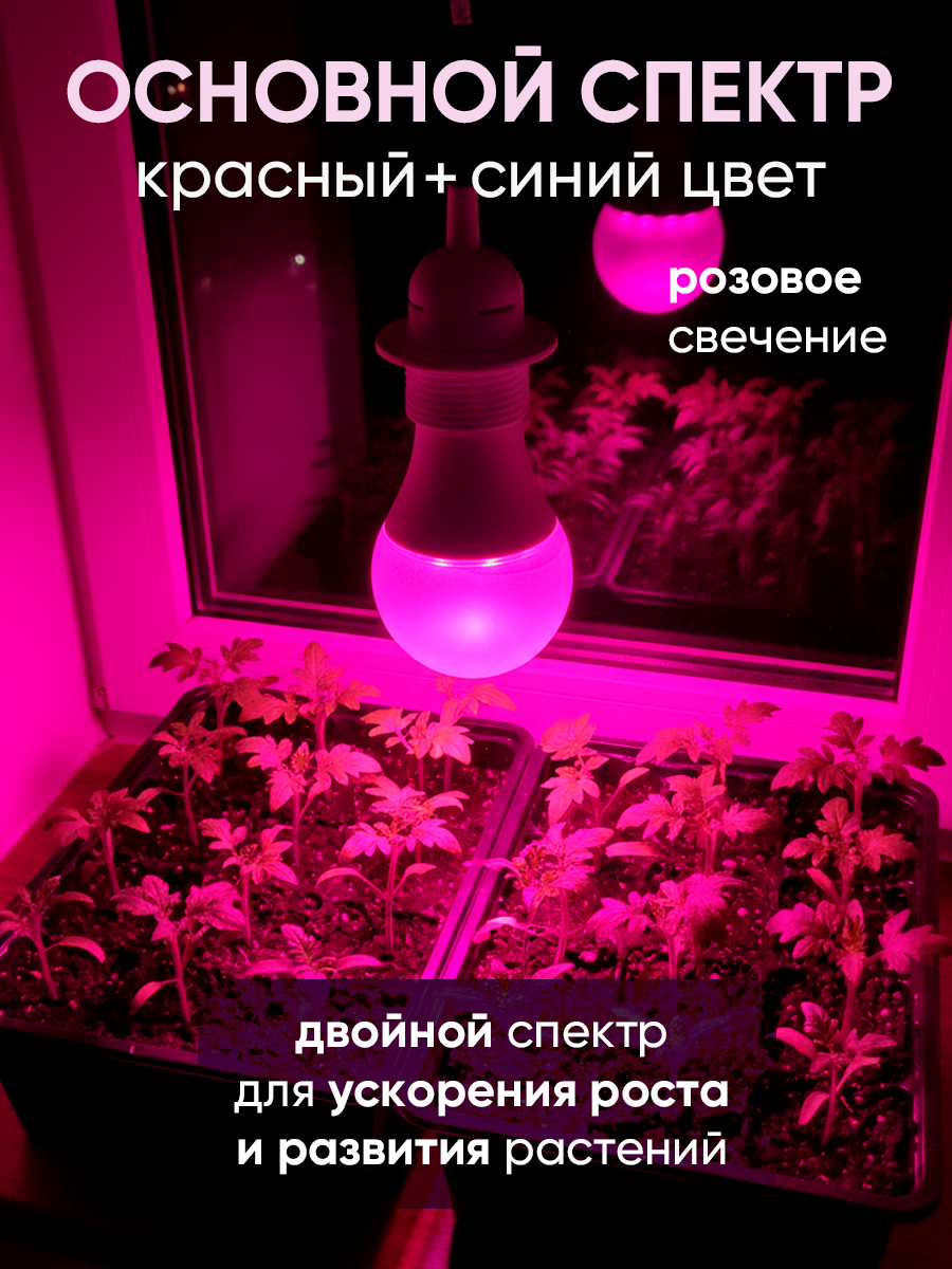 Фитолампа для растений, рассады и комнатных цветов красно-синего спектра 15w Е27 — фото 1