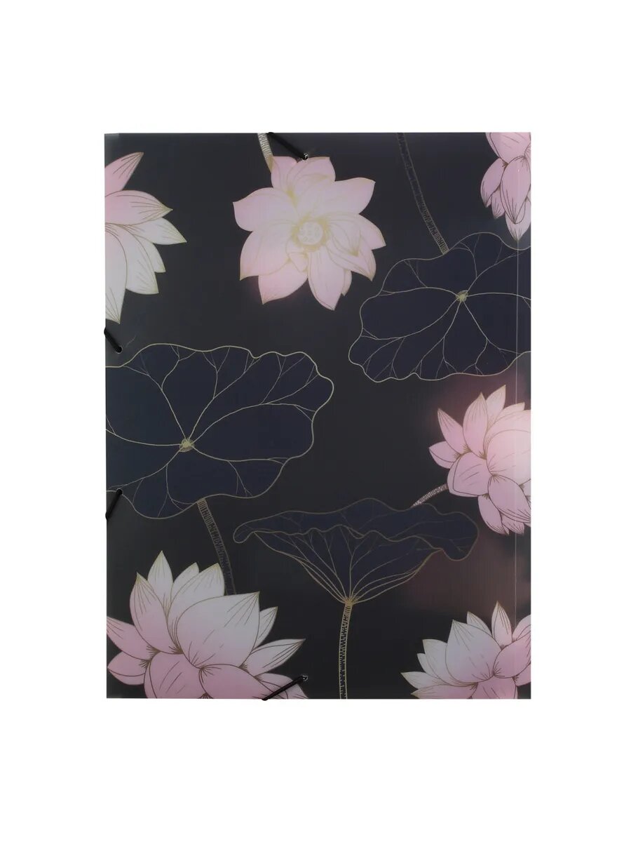 Папка на резинке А4 — фото 1