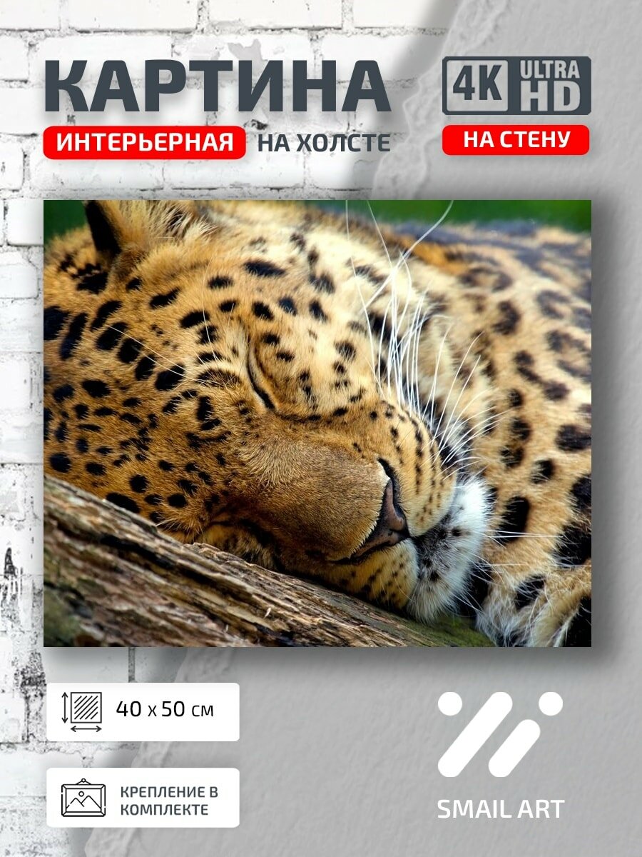 Картина на холсте интерьерная 40 на 50 на стену Животные Леопард для кабинета атмосфера