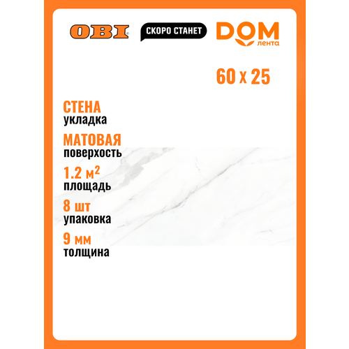 Керамическая плитка Unitile Life SPUTNIK белый 25х60 см