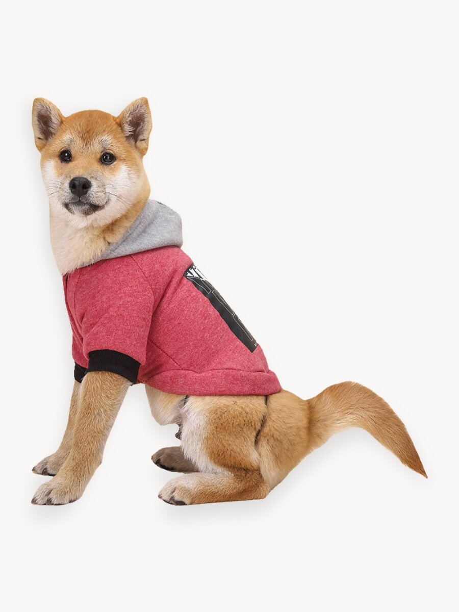 Толстовка для собак мелких, средних и крупных пород, кошек, котов. Худи для собак и кошек. Кофта. Одежда для животных. Красная-Размер-M