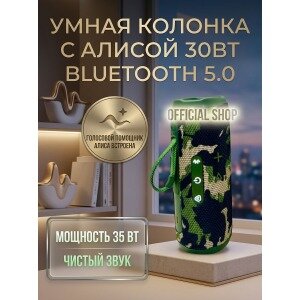 Умная колонка и Bluetooth: мощная портативная акустика 35Вт для дома и отдыха