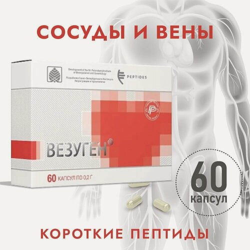 Изображение товара Везуген (Пептиды Хавинсона) пептиды сосудов, 60 капсул, бад для восстановление сердечно-сосудистой системы, лечение и профилактика заболеваний ишемическая болезнь сердца, церебральный атеросклероз