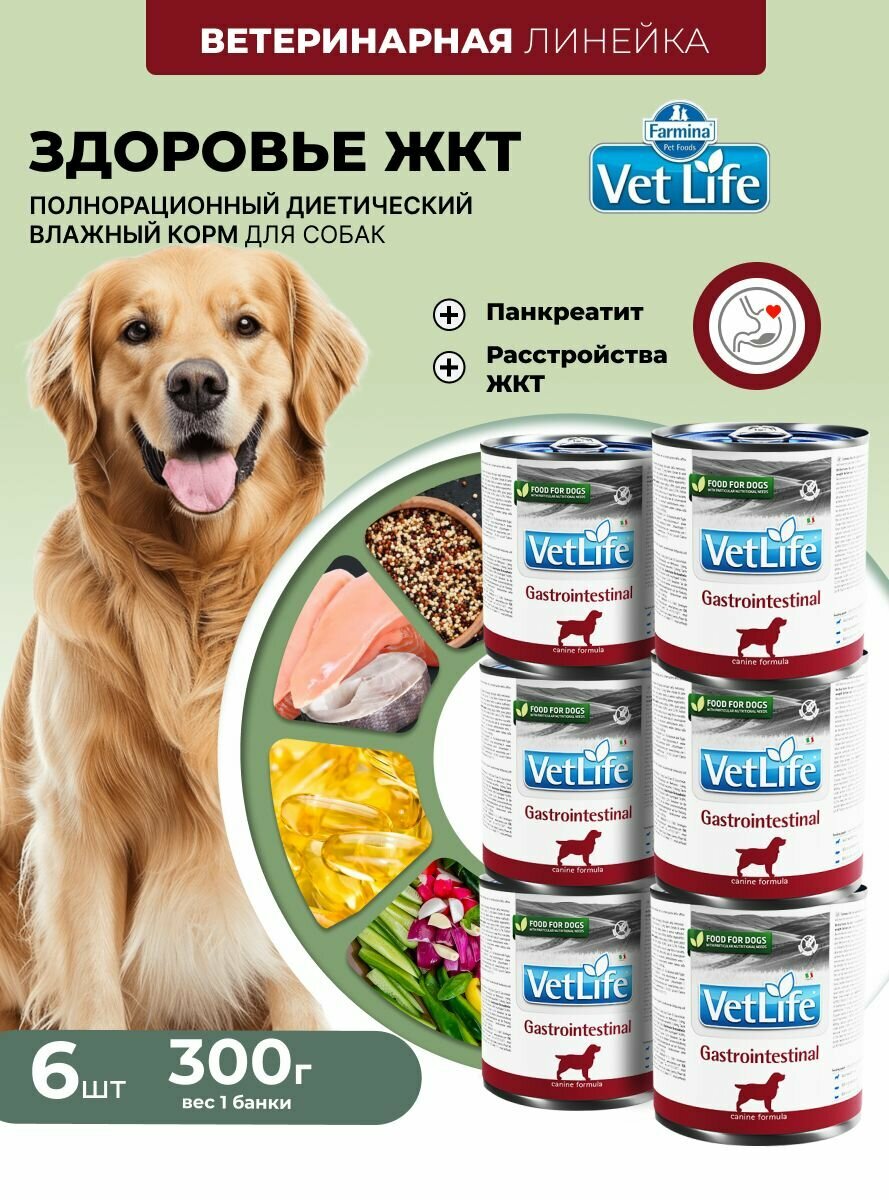 Vet Life При болезнях ЖКТ Для собак 6 шт х 300гр Gastrointestinal Влажный диетический корм farmina вет лайф Гастроинтестинал
