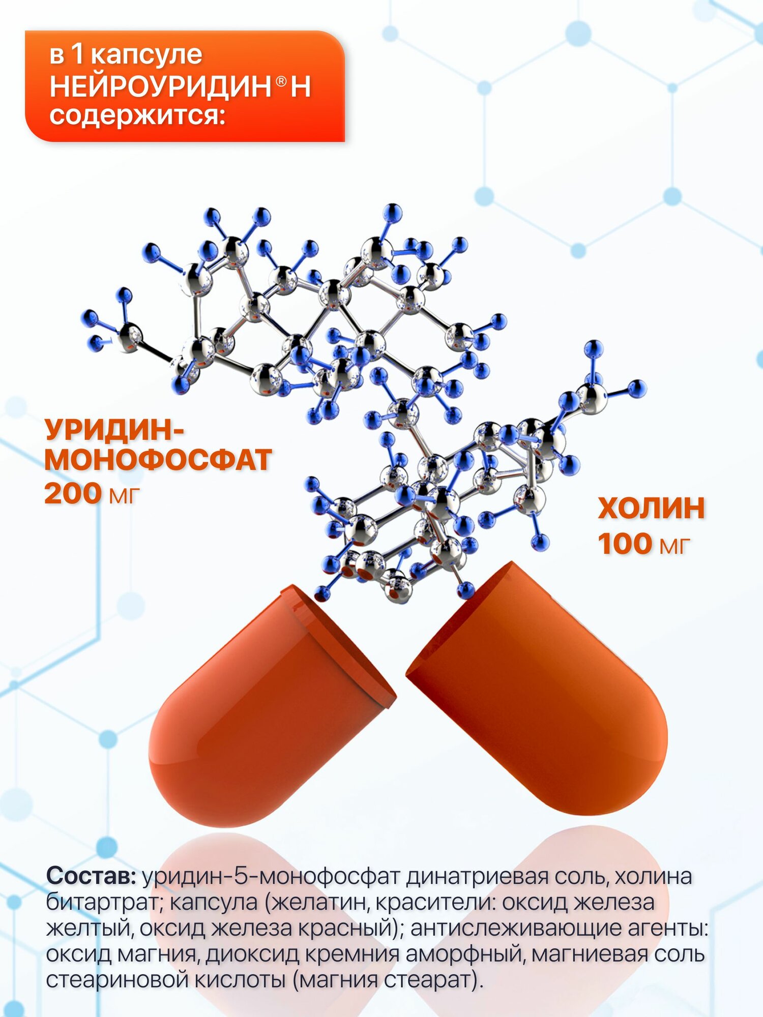 Нейроуридин Н нейропротектор. Уридинмонофосфат и холин для снижения болевого синдрома в позвоночнике и восстановления поврежденных нервных волокон. 20 капсул — фото 1