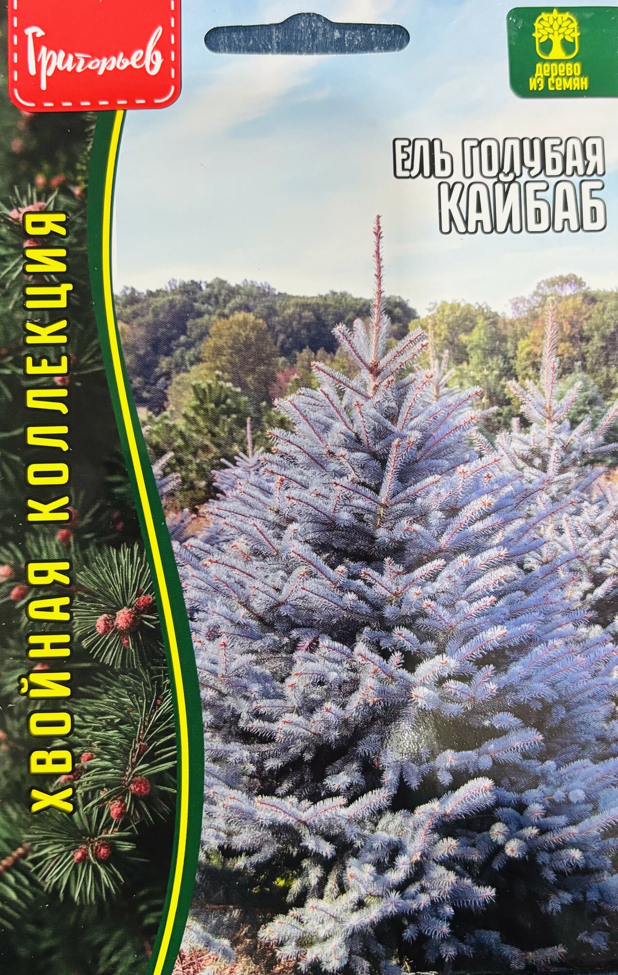 Семена Ели Голубой Кайбаб (Picea glauca) быстрорастущей (15 семян)
