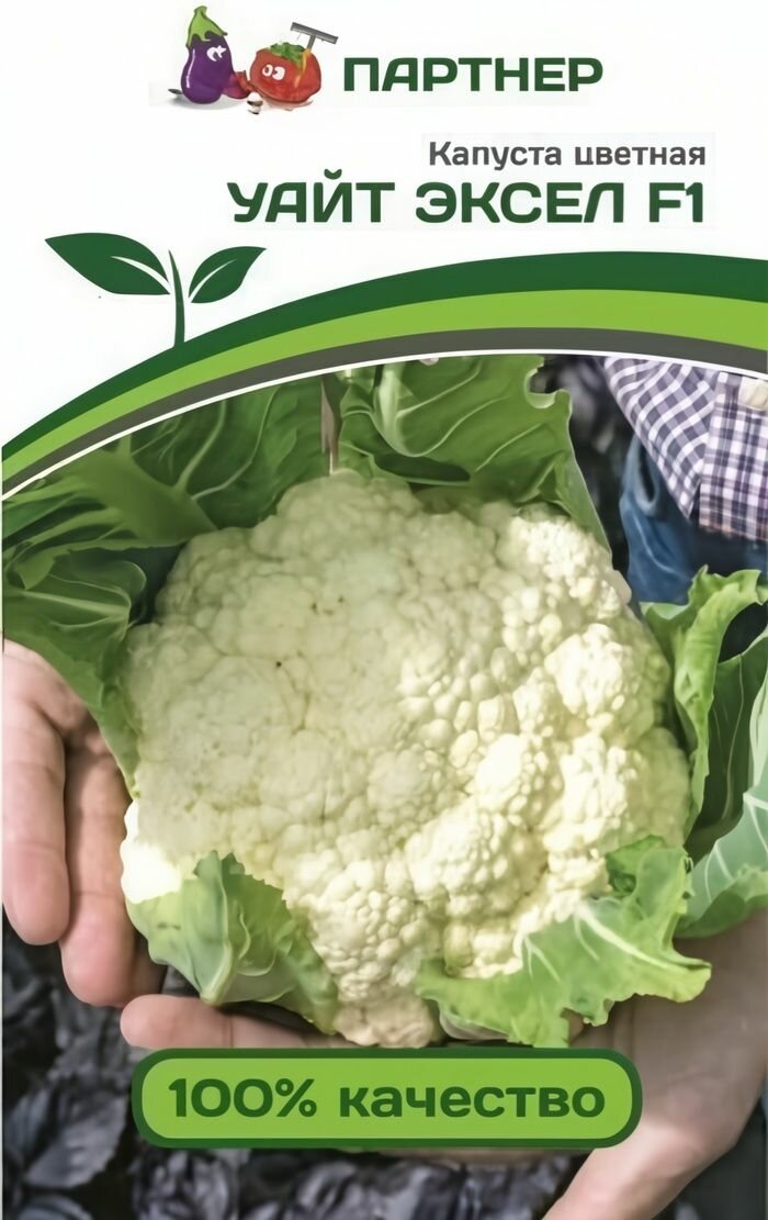 Капуста цветная Уайт Эксел F1